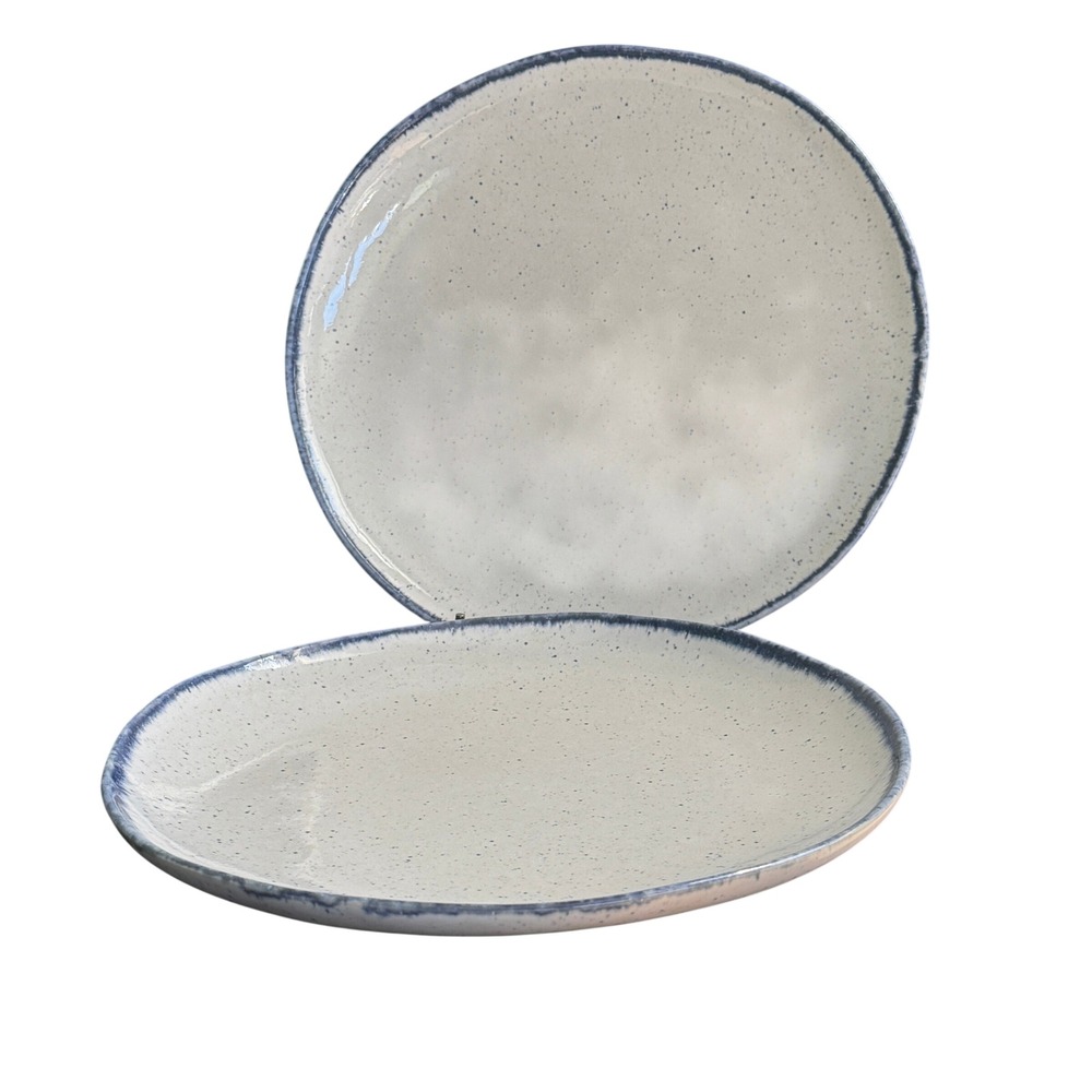 Pair of Crate & Barrel Lina Blue Stripe Salad Plates